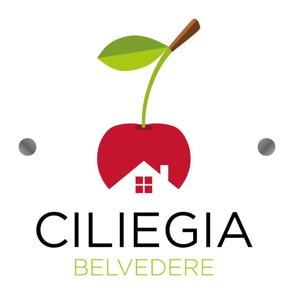Ciliegia Di Lari - Attico Villa Exterior photo